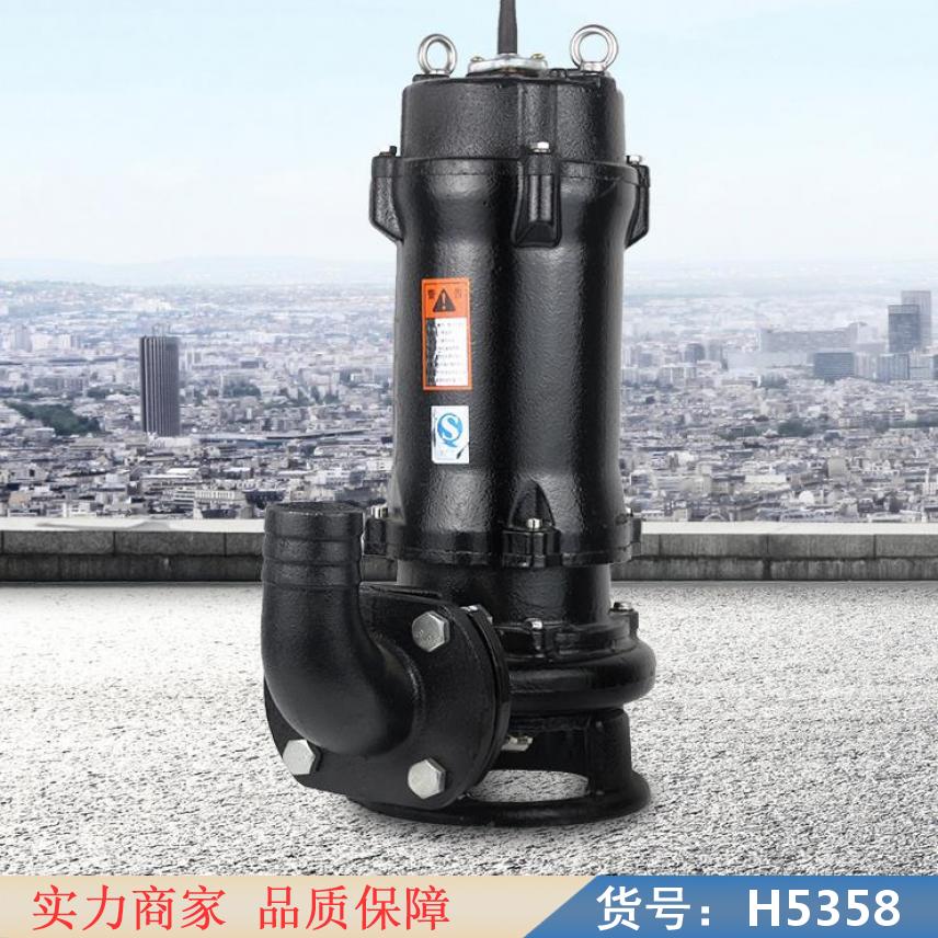 润创直立式排污泵 自动搅匀排污泵 无堵塞潜水排污泵货号H5358