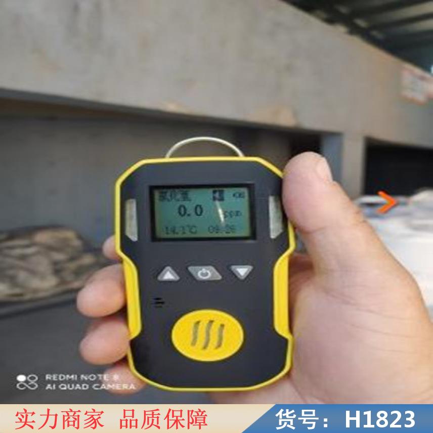润创便携式气体检测仪 四合一气体检测仪 可燃气气体检测仪货号H1823