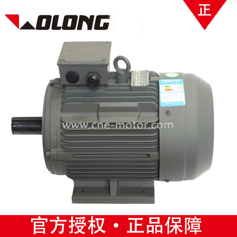 卧龙南阳YE3-100L-2 3KW B3自扇冷异步电动机
