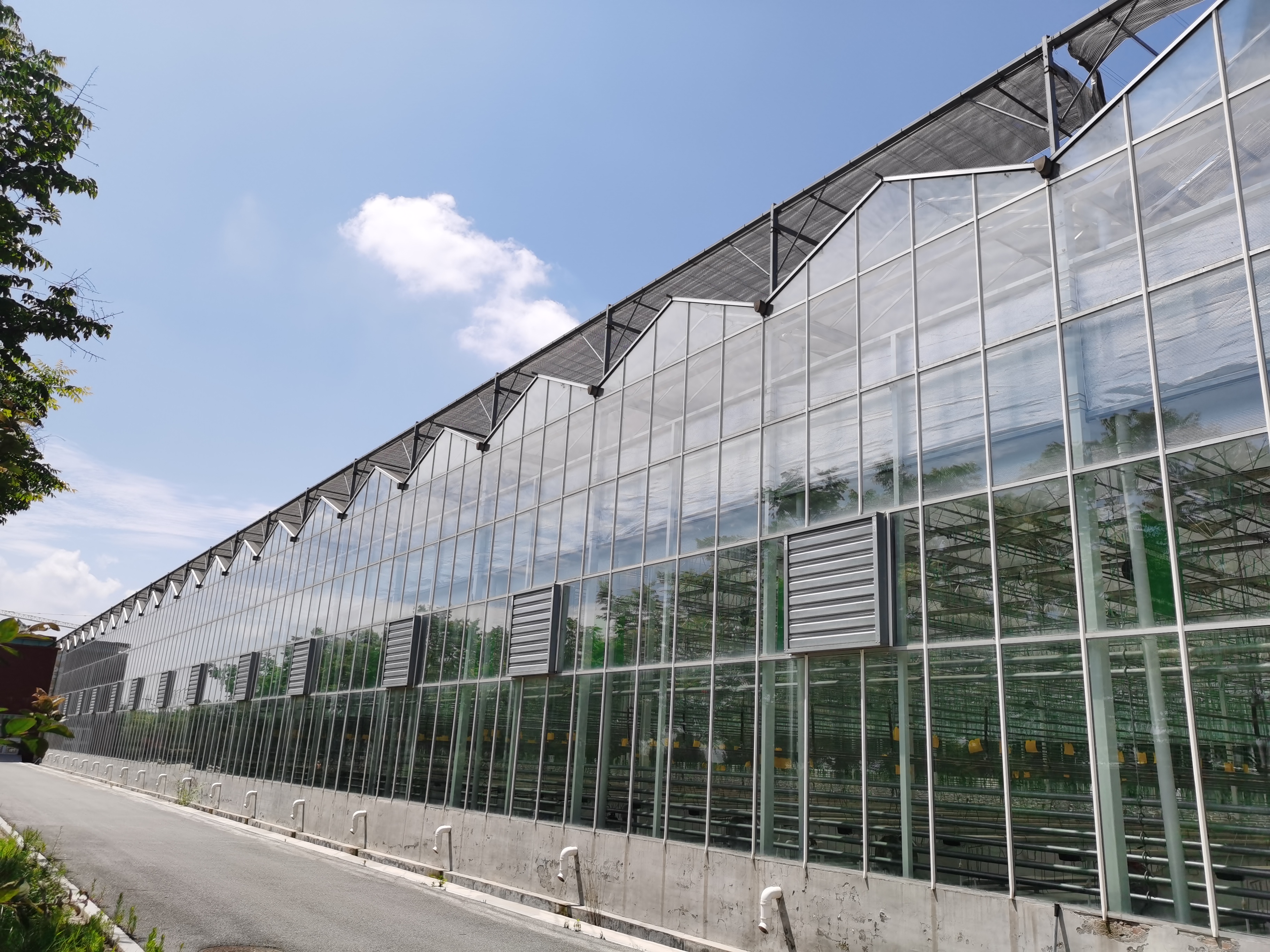 玻璃温室工程建设 智能新型玻璃温室生产厂家 辰昊温室