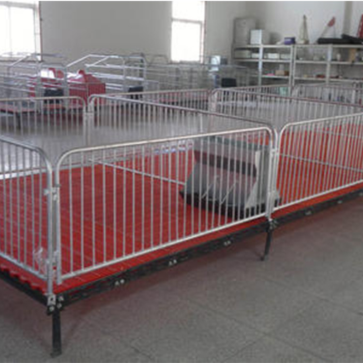 加厚保育床 小猪用复合保育床 复合仔猪保育床 金福临出售 质量放心