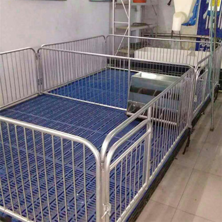 复合仔猪保育床供应 养殖场用仔猪保育床 小猪用保育床加工