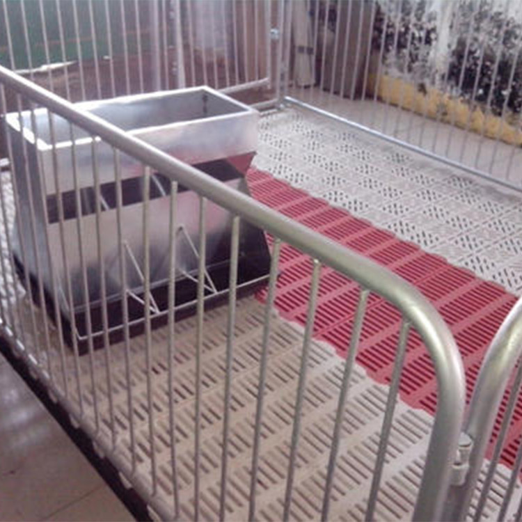金福临 猪场用仔猪保育床加工 猪舍小猪保育床 复合保育床