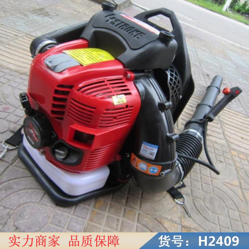 慧采幼林风力灭火机 草原火灾风力灭火机 铁路上吹沙子风力灭火机货号H2409
