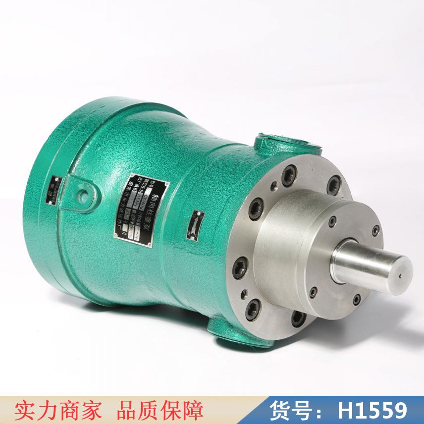 慧采斜轴柱塞泵 cy轴向柱塞泵 直轴式轴向柱塞泵货号H1559