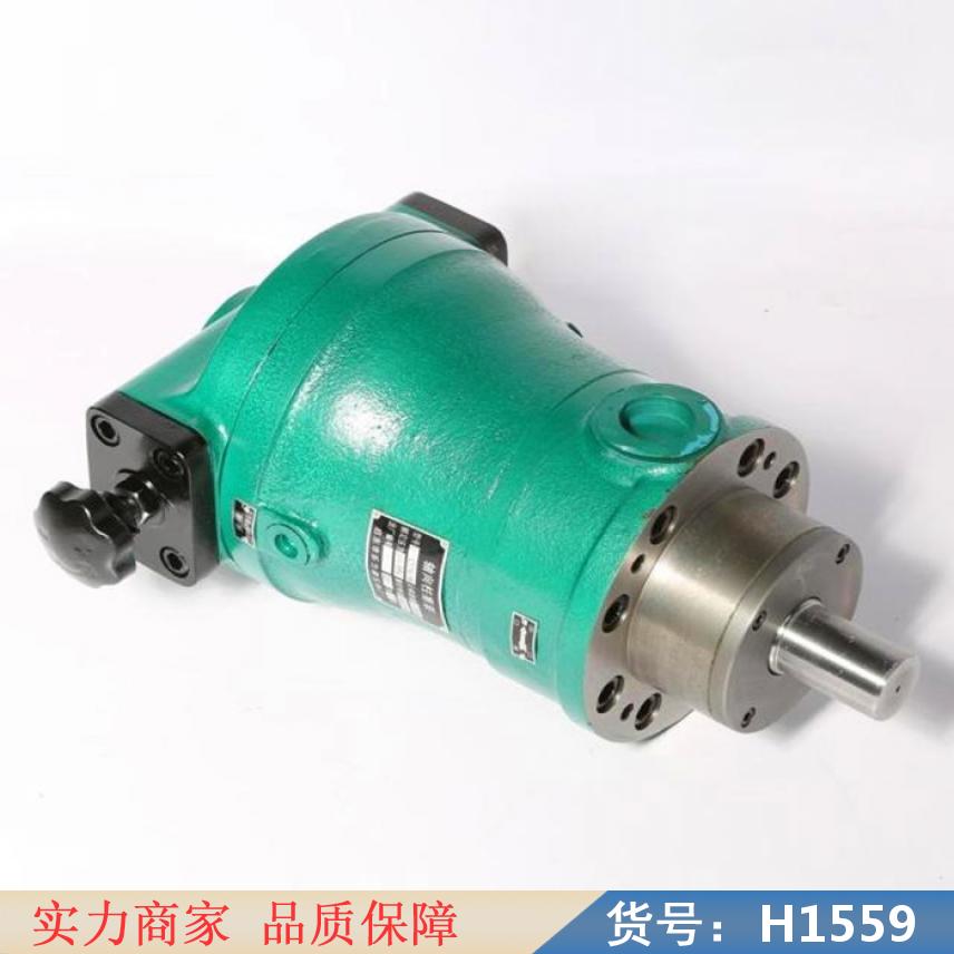 润创柱塞泵 斜盘式轴向柱塞泵 轴向电容柱塞泵货号H1559