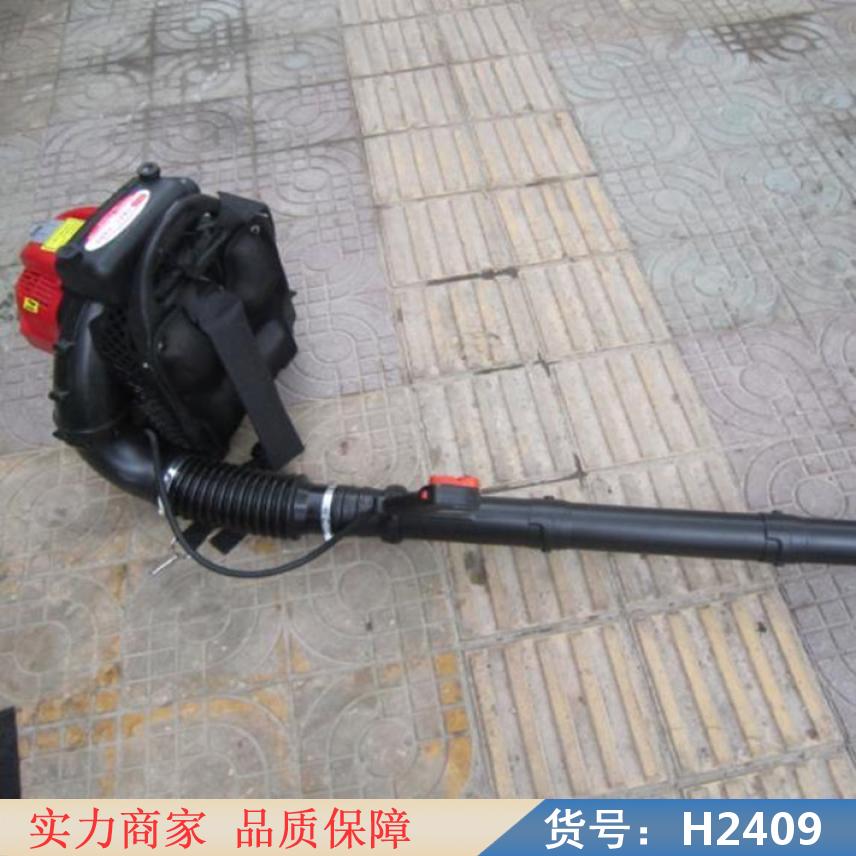 润创森林灭火机 幼林风力灭火机 铸钢风力灭火机货号H2409