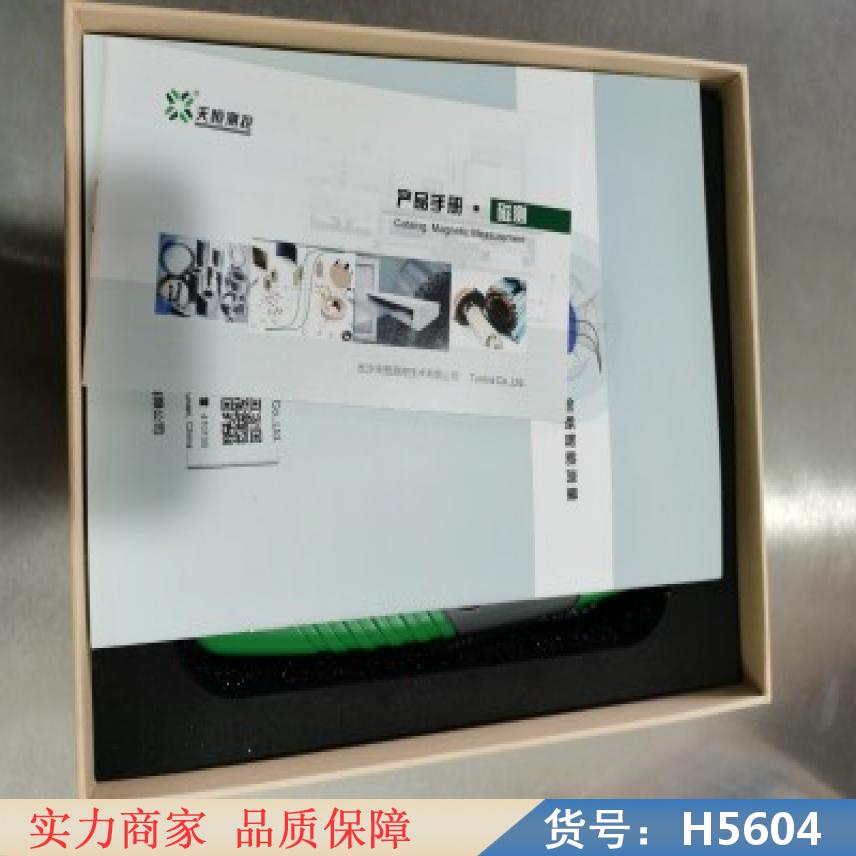 润创数显高斯计 手持高斯计 高斯计测量仪货号H5604