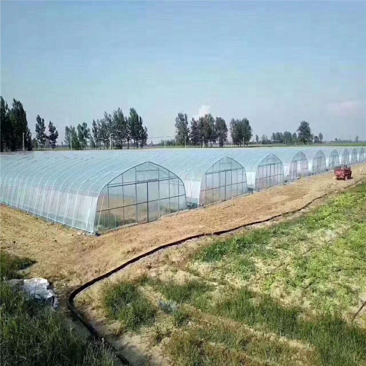 搭建拱形薄膜温室 简易薄膜温室预算 北方薄膜温室厂家