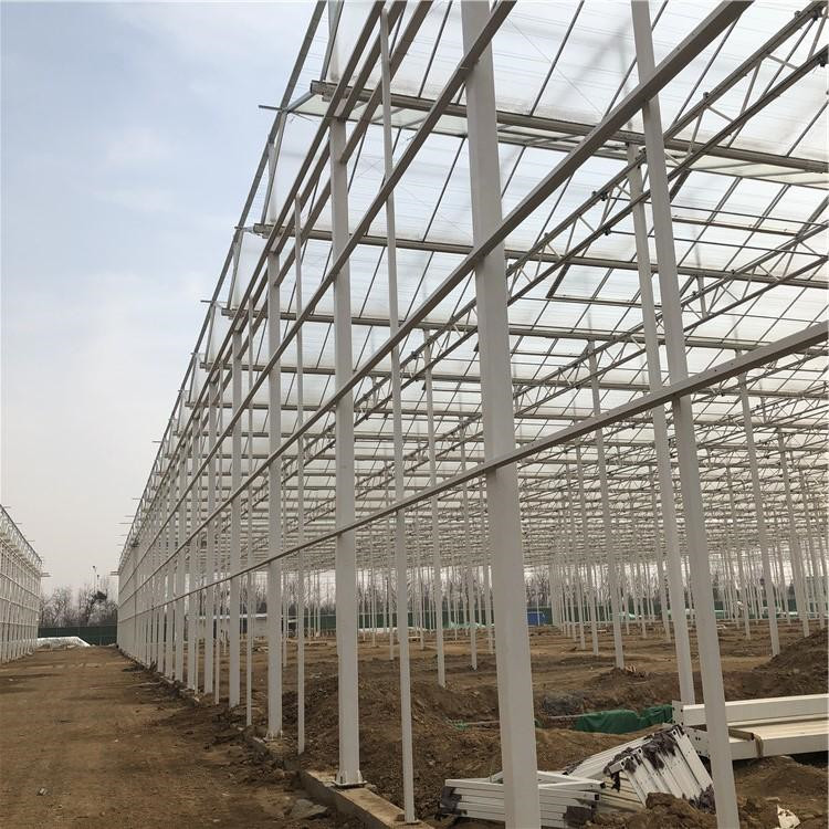 玻璃温室大棚 规格齐全 花卉玻璃温室可定制 北方温室建造