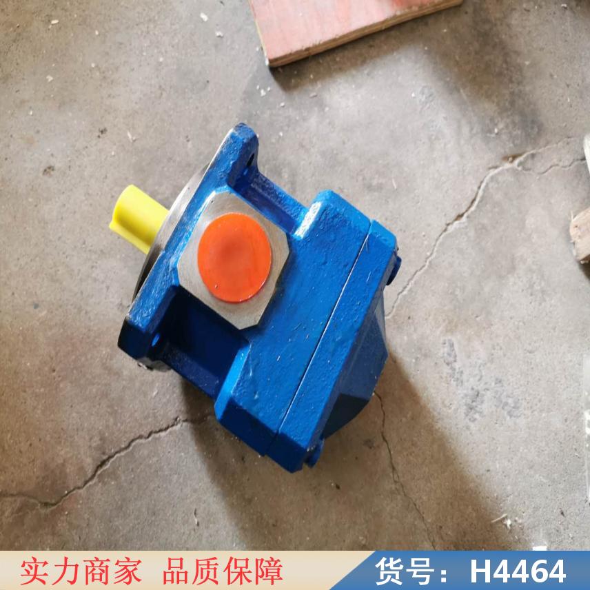 润创高温齿轮泵 双向齿轮泵 电动齿轮泵货号H4464
