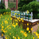 PVC草坪护栏  苗圃花坛围栏 支持设计 PVC围栏安装