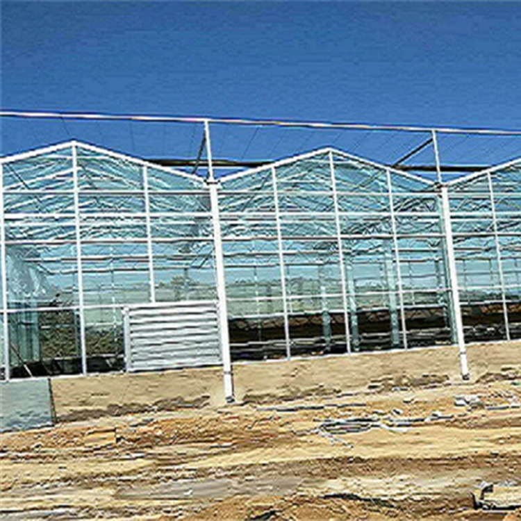 玻璃温室承建 山东连栋玻璃温室 保质保量