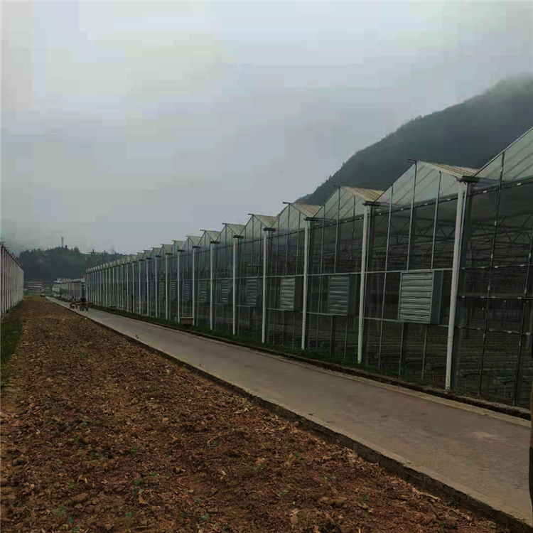 使用时间久 温室大棚 连栋温室建造报价