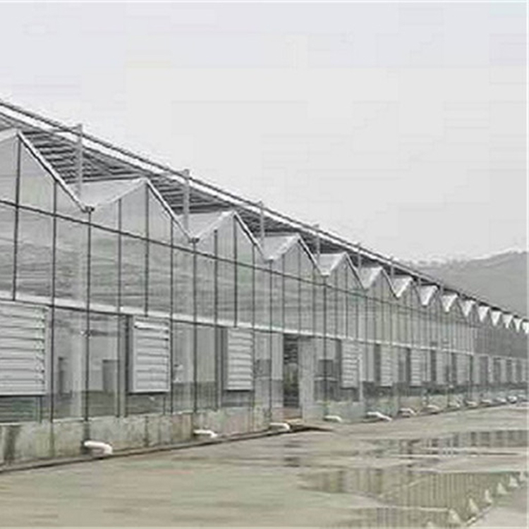 蔬菜玻璃温室建设 青州连栋薄膜温室 鑫创温室建设公司