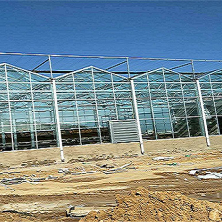 安装设计 连栋玻璃温室 玻璃温室承建