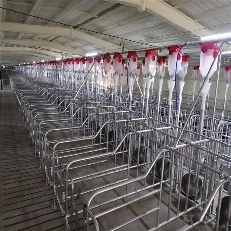 正茂耐酸碱养猪料线  猪舍喂料养殖料线  加工定制