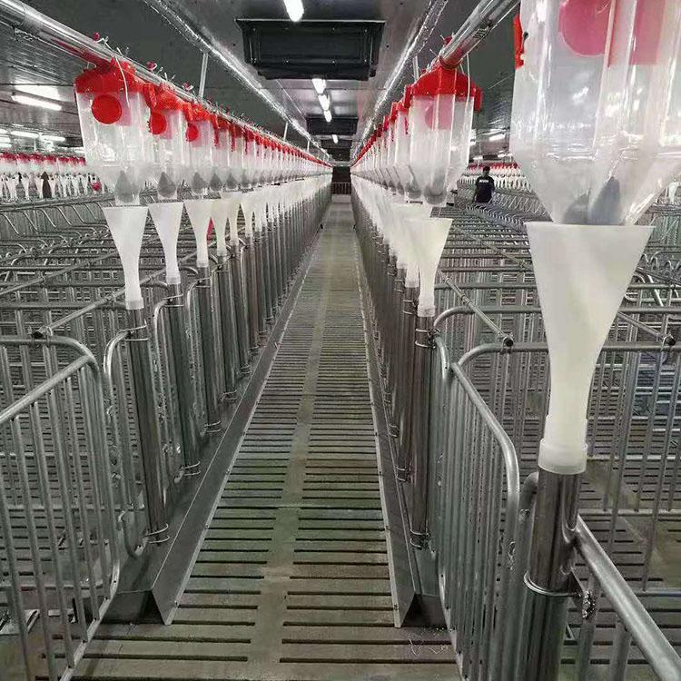 加工定制自动化喂猪设备养殖料线  德州喂猪养殖料线