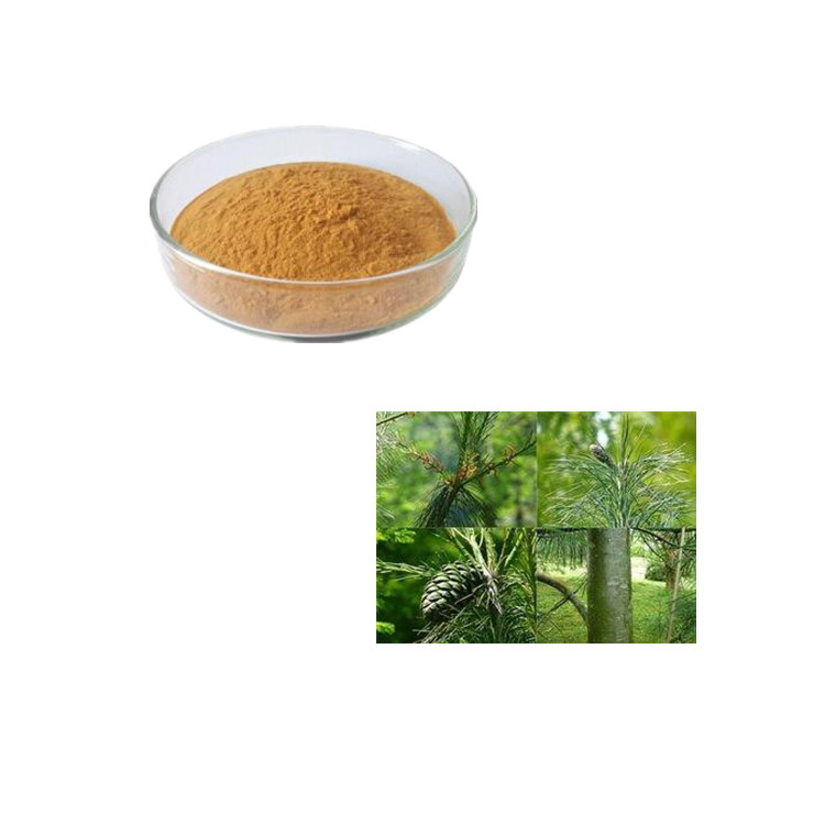 精细粉末乔松 工厂直发 乔松提取物