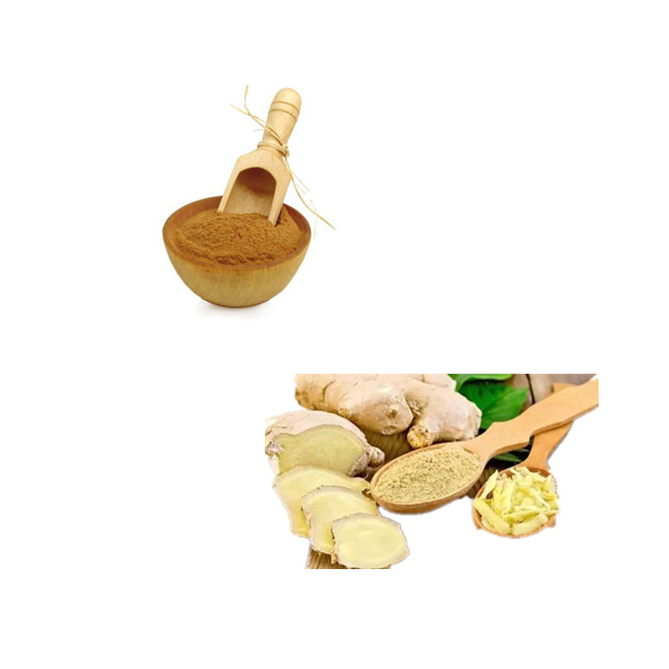 生姜提取物 陕西慈缘 水溶性生姜粉末 现货供应