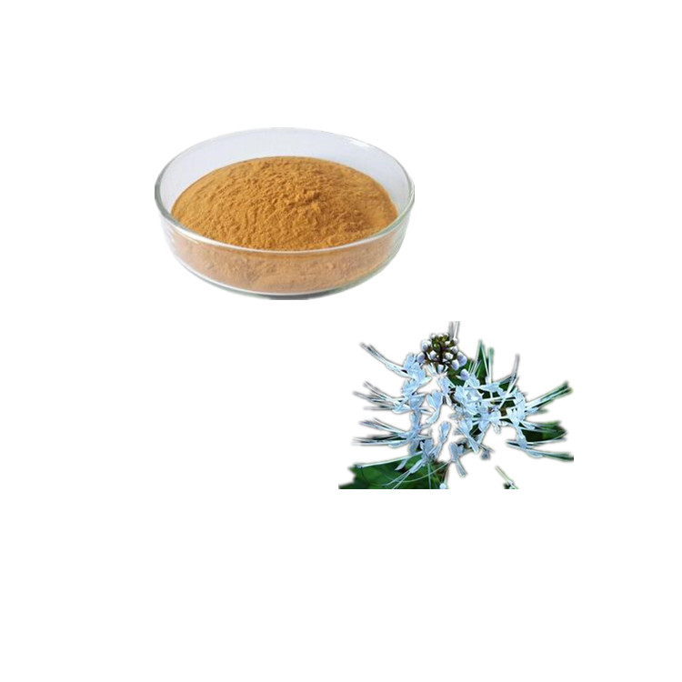 厂家批发猫须草 猫须草价格
