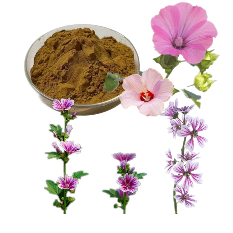 锦葵提取物 欧锦葵粉 锦葵籽提取物 锦葵花提取物  锦葵冻干粉 锦葵多糖  锦葵花粉
