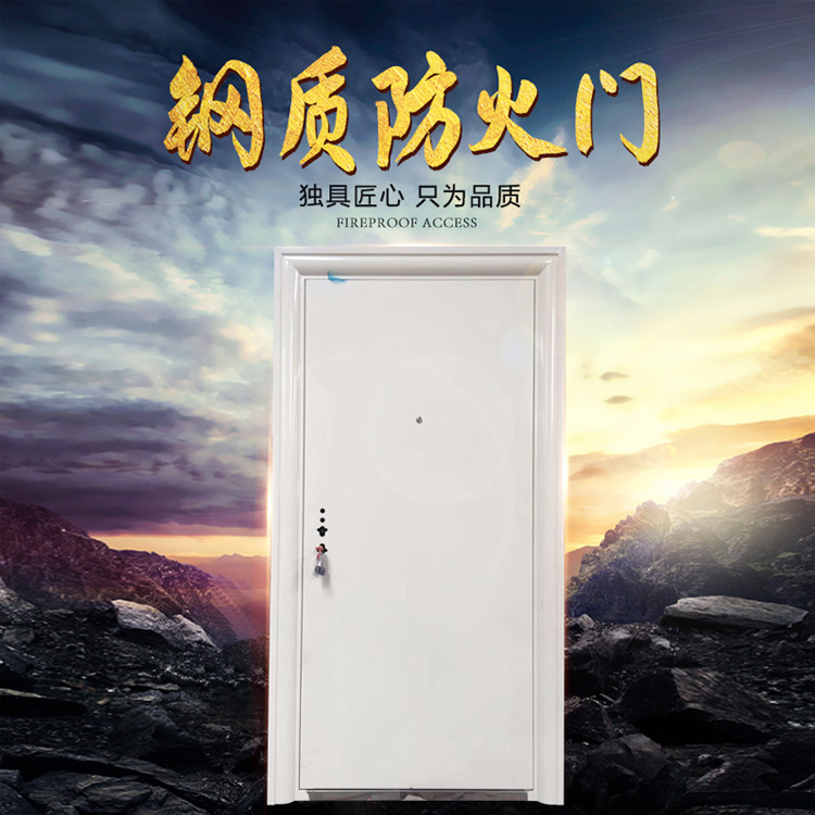 消防钢制防火门 防火消防门管井门 钢质消防门生产厂家 价格称心