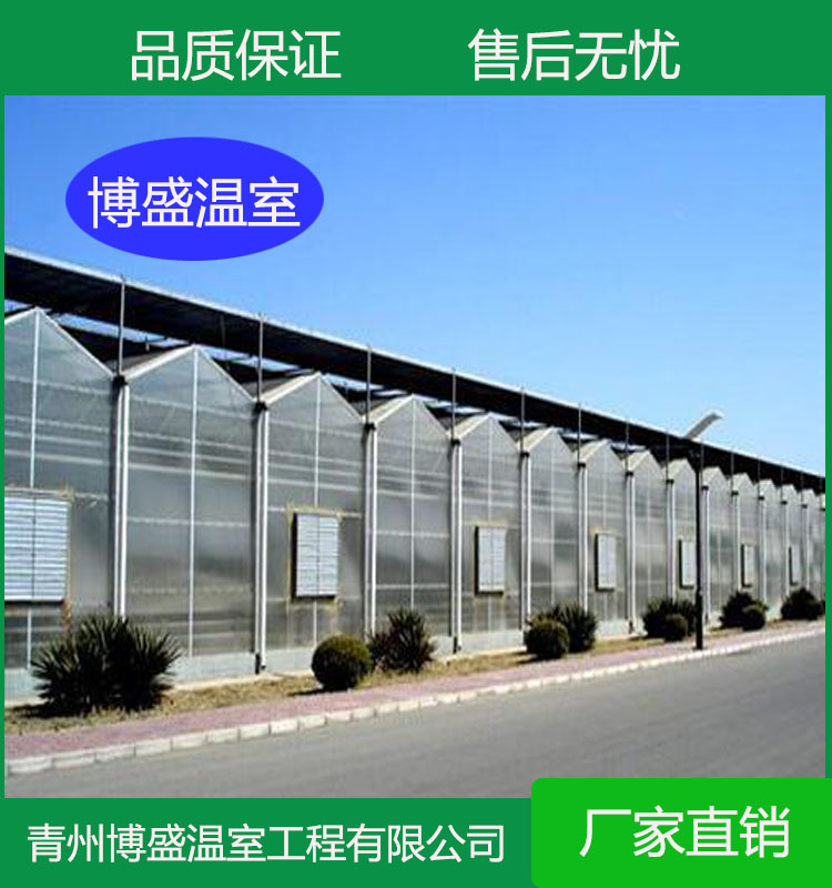 优质阳光板阳光房      博盛 大棚蔬菜采光板   pc阳光板温室设计 
