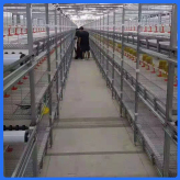 鸡笼价格  厂家生产批发  加粗加密鸡笼 经久耐用