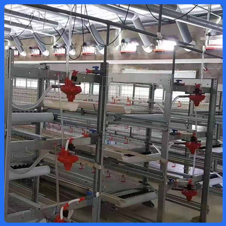 鸡舍养殖笼具 鸡笼生产线  加粗加密鸡笼 厂家报价