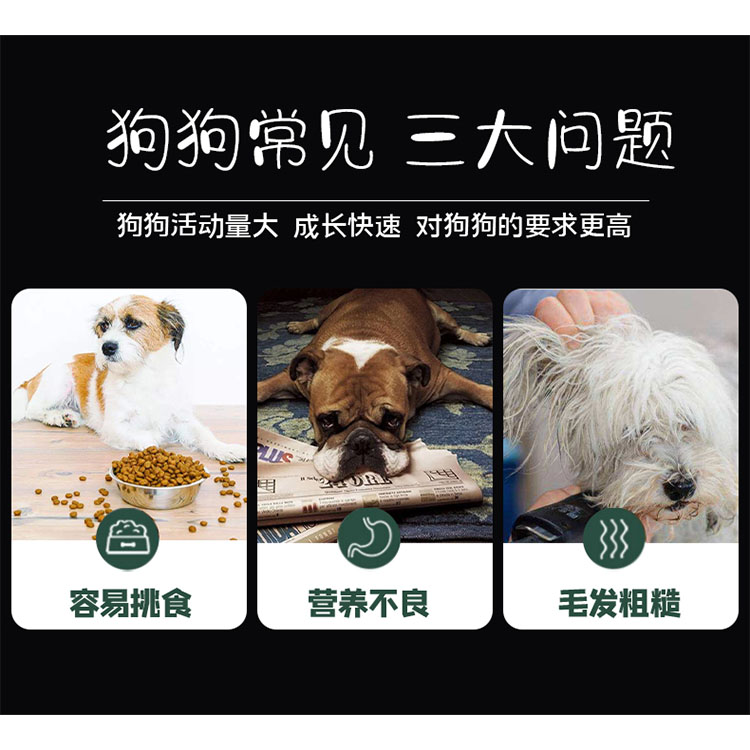 晨宇宠物 宠物罐头代加工 牛肉罐头 欢迎选购