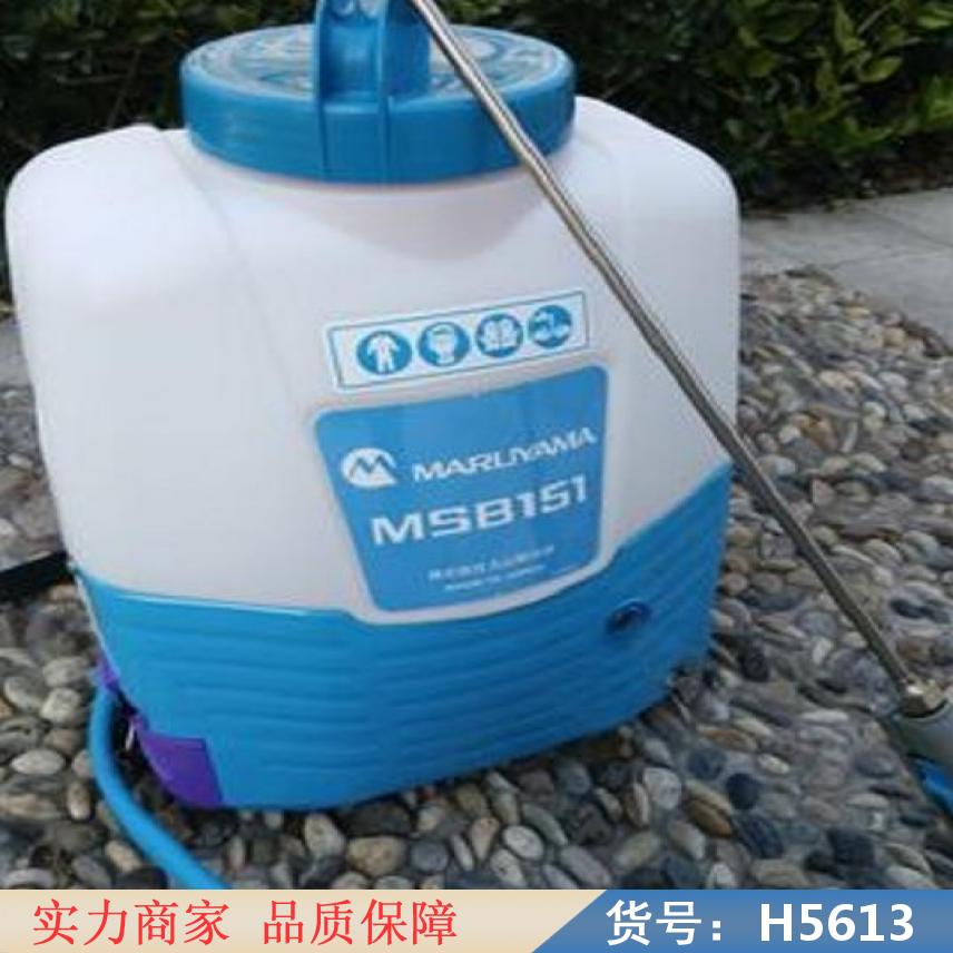 慧采补水喷雾器 手持式微型喷雾器 农用喷雾器货号H5613