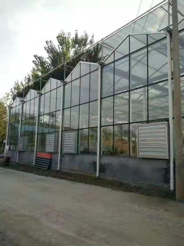 千汇温室 玻璃温室大棚 智能玻璃温室生态餐厅建设  玻璃温室材料