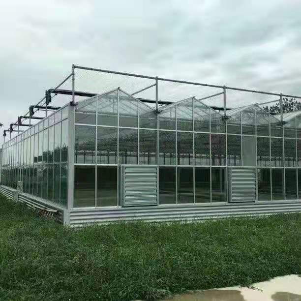 山东农业温室工程 玻璃温室大棚配件 温室大棚承建商 