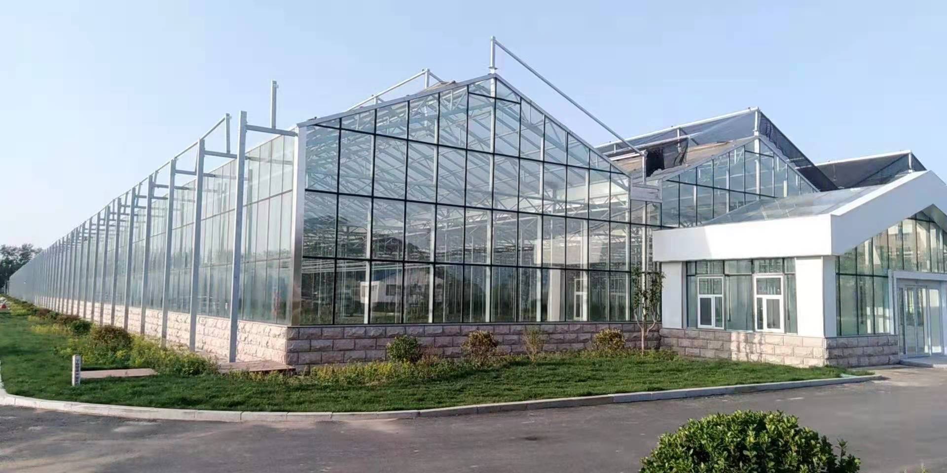  连栋大棚承建  连栋大棚建设