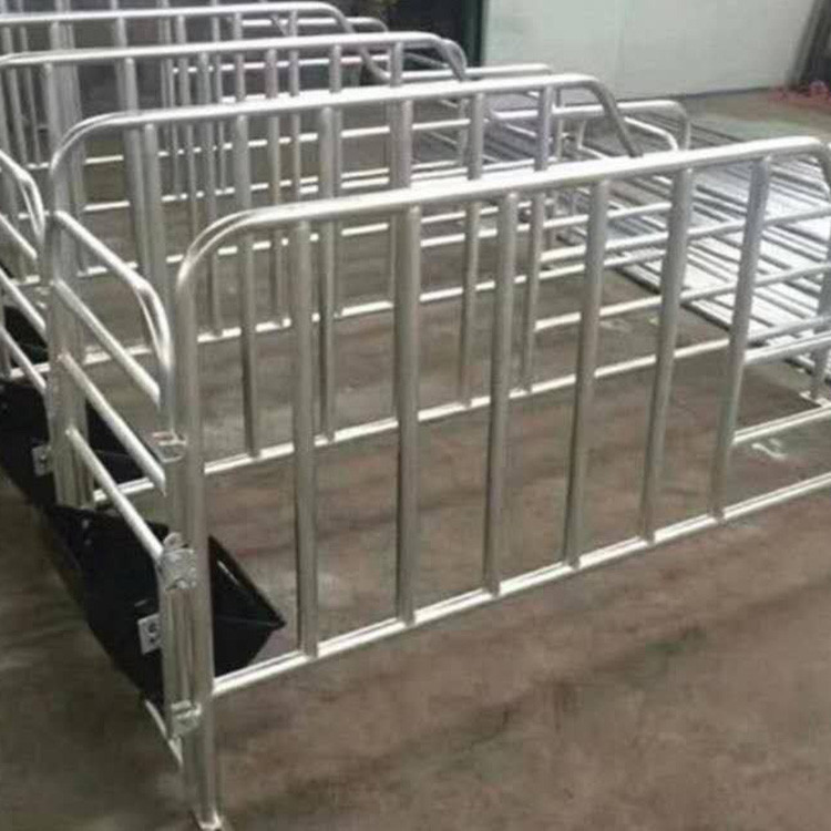 定做 定位栏 肥猪限位栏 加厚母猪定位栏 带复合漏粪板限位栏