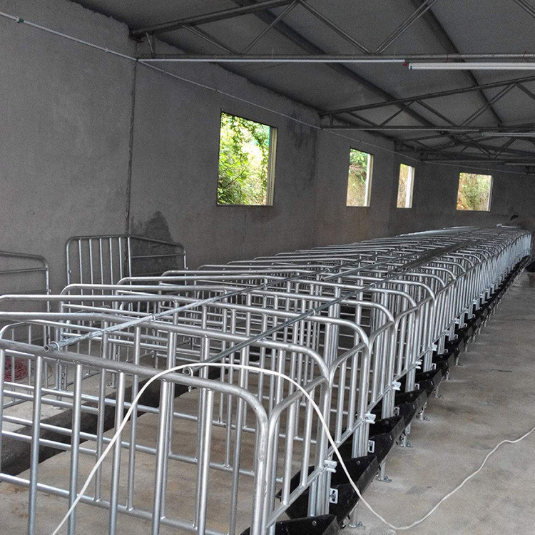 定位栏 养猪场用落地限位栏 十猪位母猪限位栏 落地式定位栏 