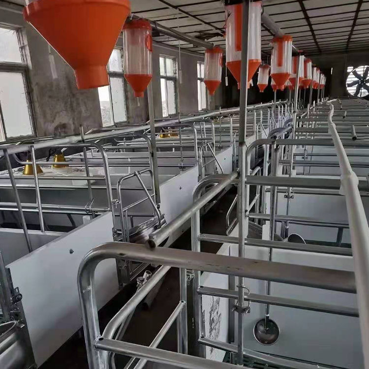 自动化养猪料线 牧裕高邦自动化养猪料线行情 大量批发