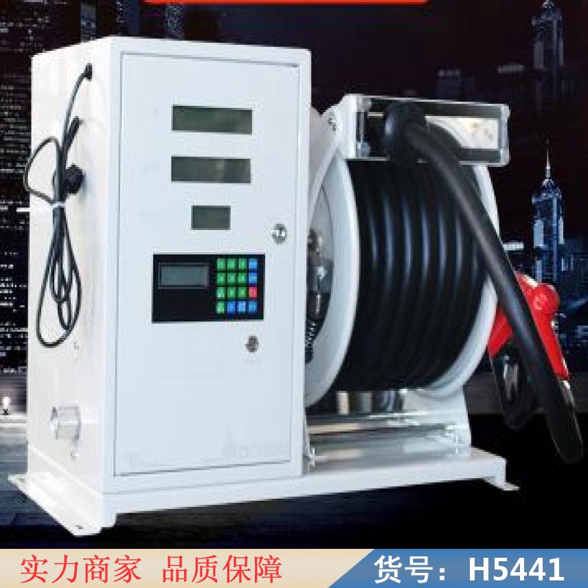 慧采便携式加油机 加油机计量器 车载加油机货号H5441