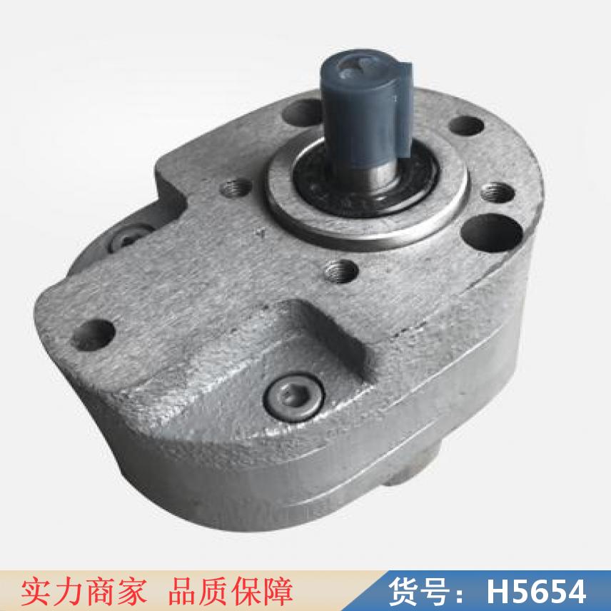 润创转子泵 小型液压齿轮泵 电动齿轮泵货号H5654