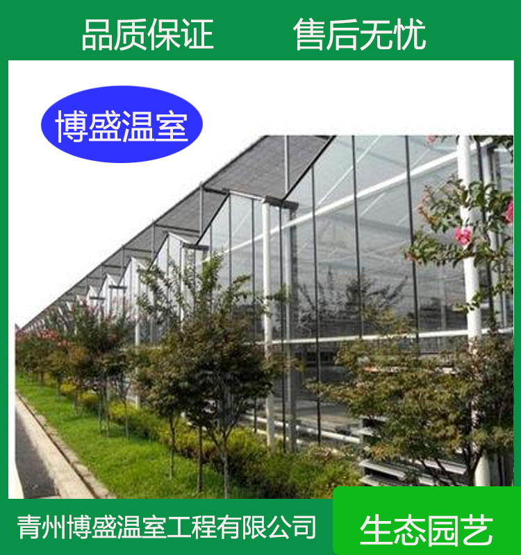 智能玻璃连栋温室设计安装 博盛 实地考察设计 提高土地利用率 抗风雪能力强