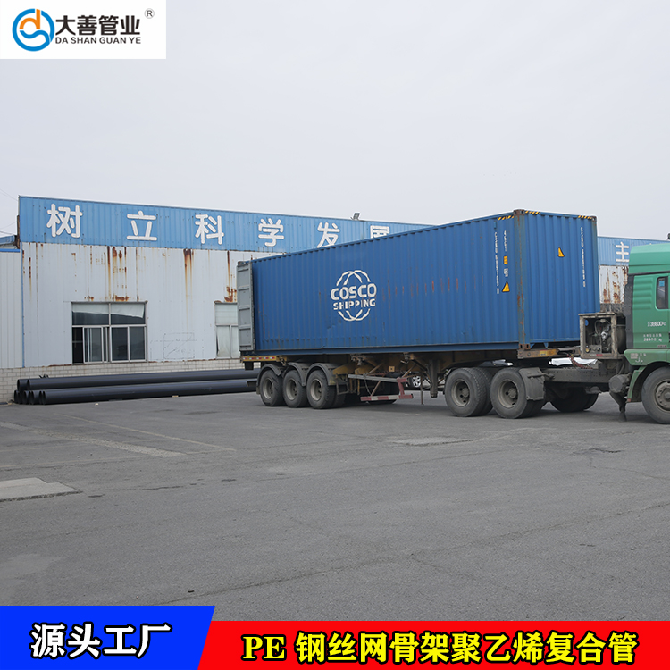 大善供应PE塑料管材   HDPE钢丝网骨架管现货  山东钢丝网骨架聚乙烯复合管厂家