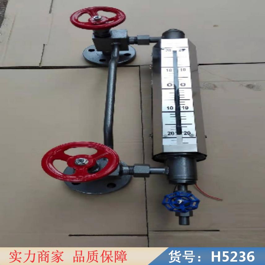 慧采静压液位计 浮球液位计 锅炉双色液位计货号H5236