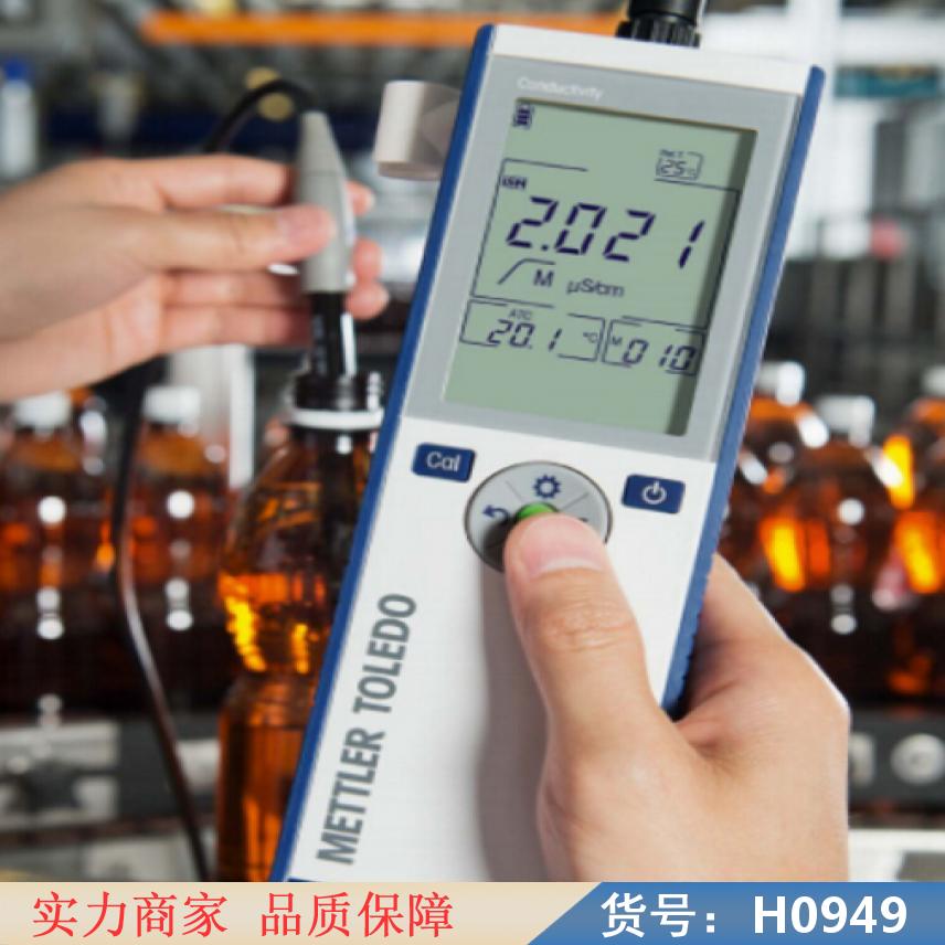 卅眸在线溶氧检测仪 环境测试溶氧仪 水/废水处理溶氧仪货号H0949