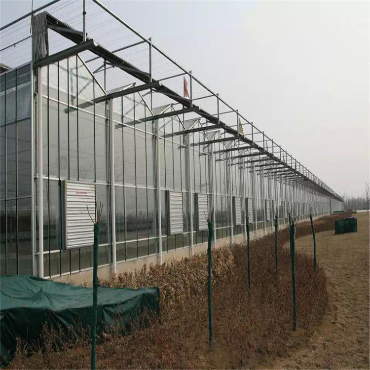 阳光板温室 使用寿命长 连栋阳光板温室报价 阳光板温室工程