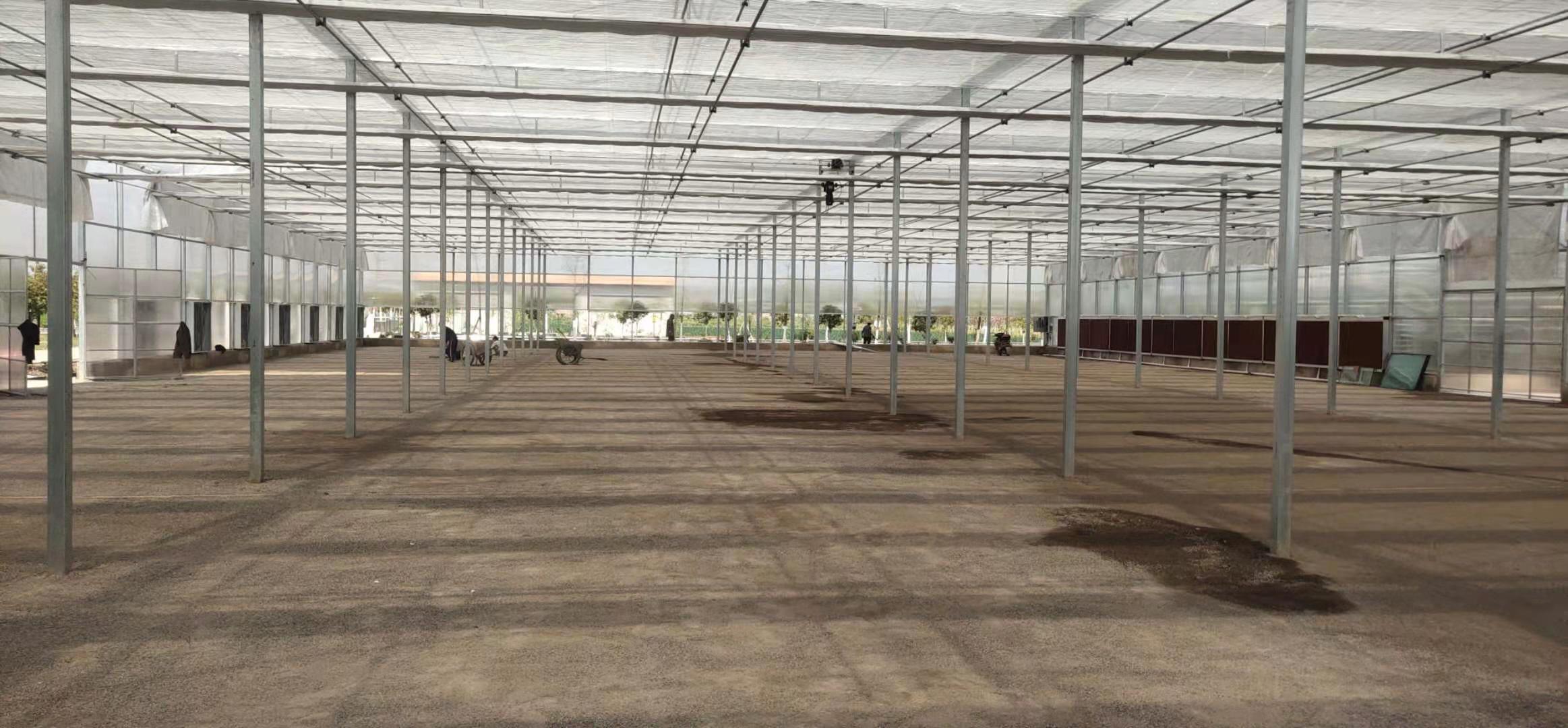 日光薄膜温室大棚     果蔬大棚   设计新型薄膜大棚  