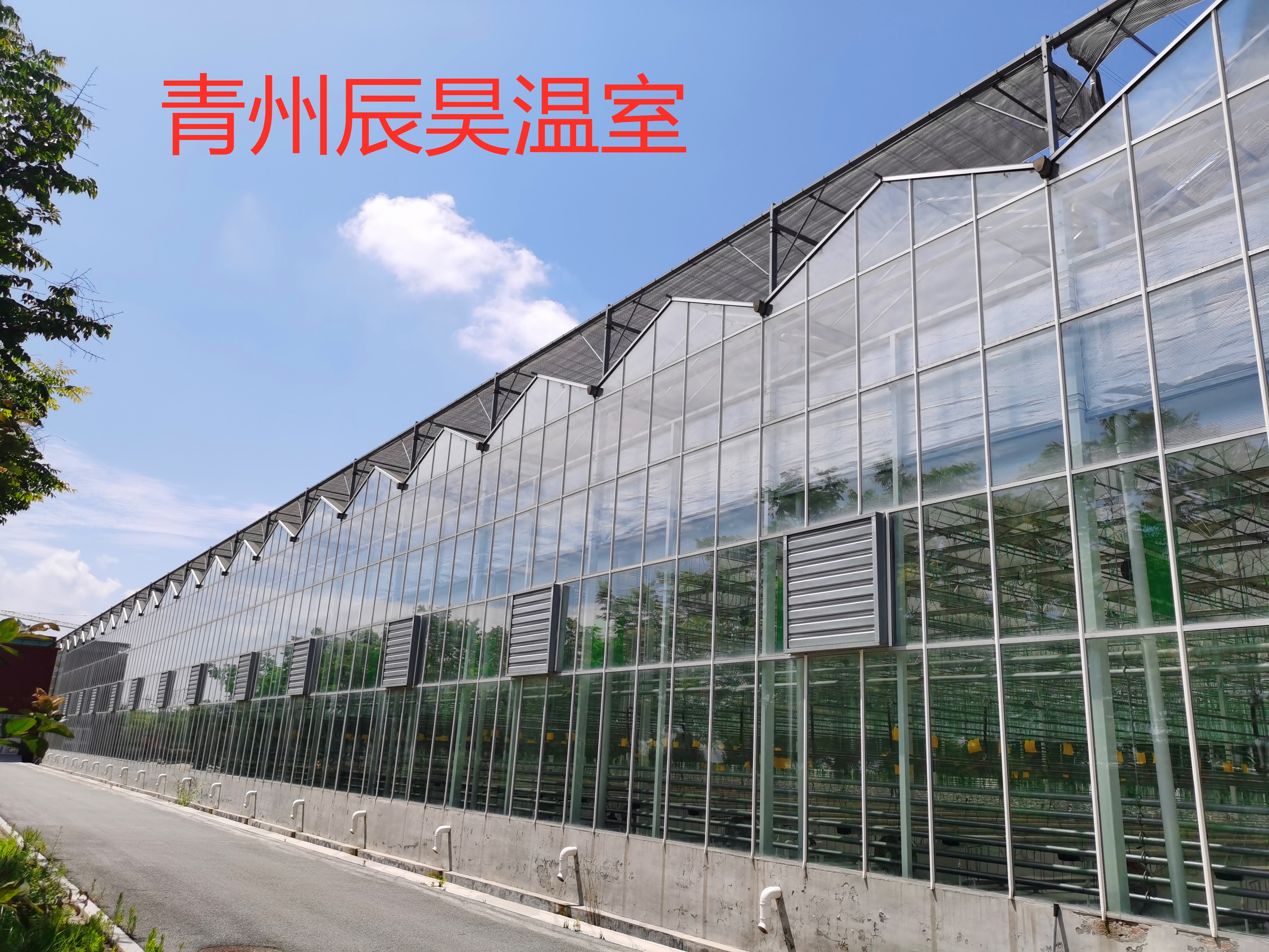花卉育苗用薄膜温室 连栋薄膜温室价格 厂家定制安装