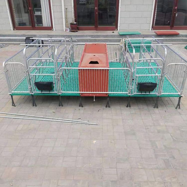 母猪产床 复合母猪产床 新型母猪产床 双位母猪产床 养猪设备