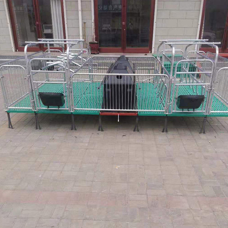 母猪产床 单独母猪产床 复合母猪产床 双体母猪产床