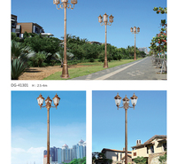 齐齐哈尔庭院灯 坚固耐用 适合户外照明 公园照明 绥化小区照明 绥化东强庭院照明 厂家直销